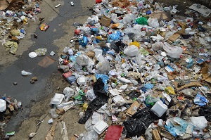 £13bn worth of food wasted annually, figures reveal